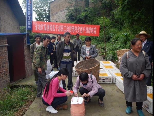 捐赠鸡苗6.jpg 捐赠鸡苗6.jpg